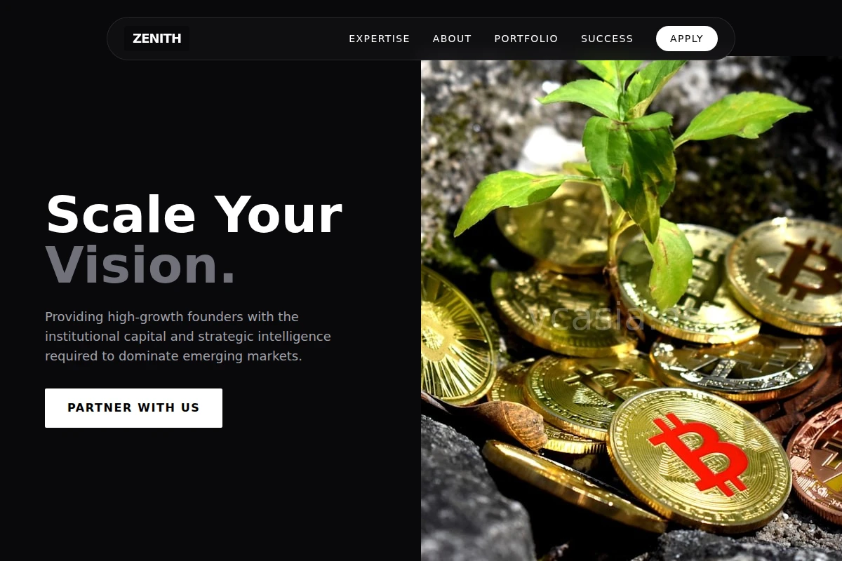 Institutional Venture Capital